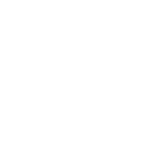 Logo Asociación Sc Fauno Europa